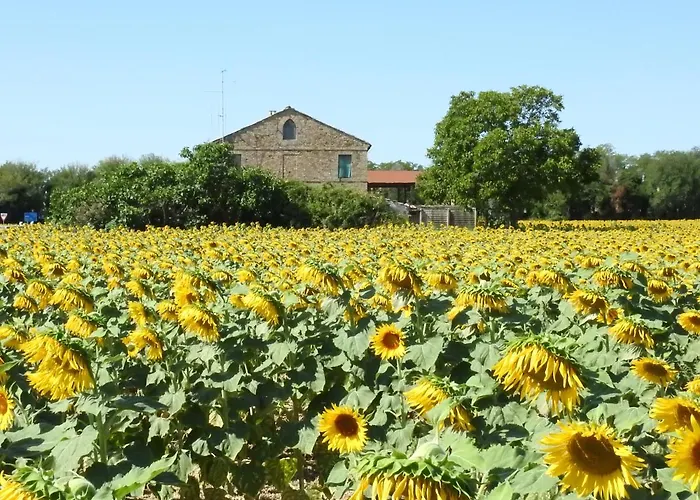 La Casa Di Stella 3* Porto Sant'Elpidio